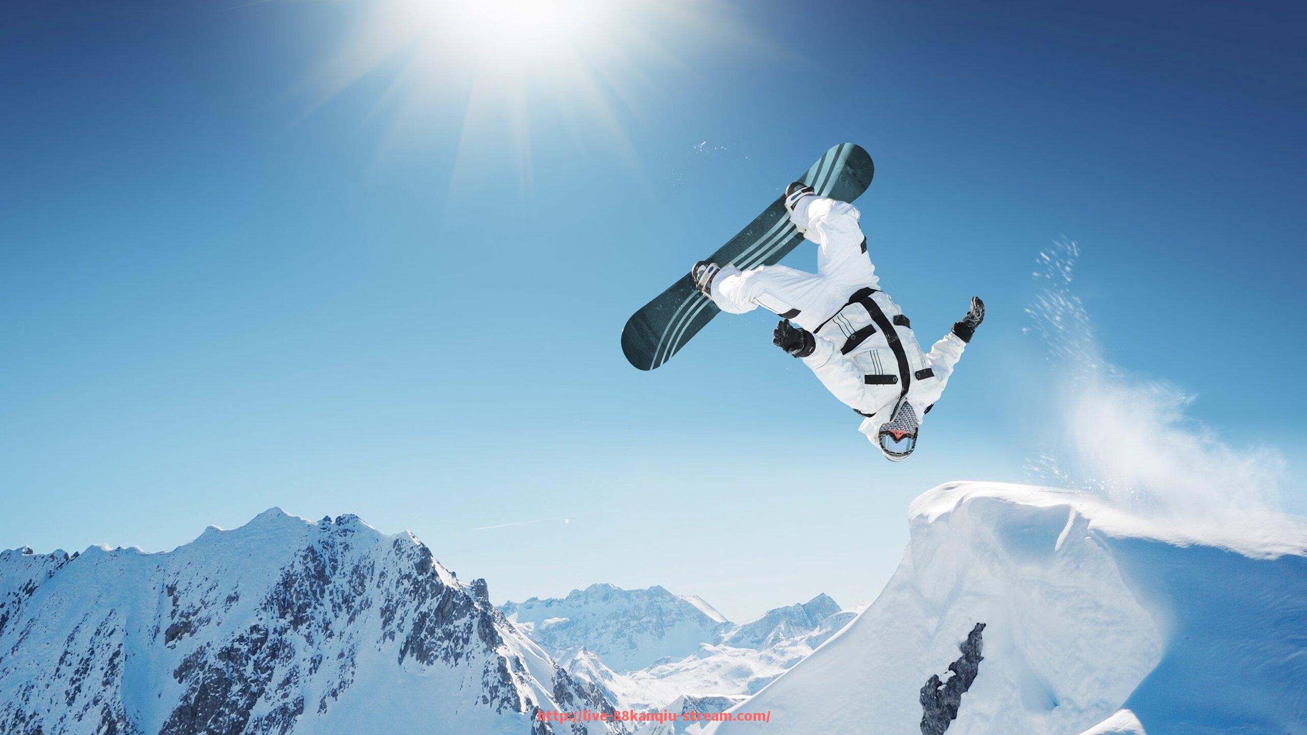 88看球网-健身器材上的重力系统设计原理及安全使用